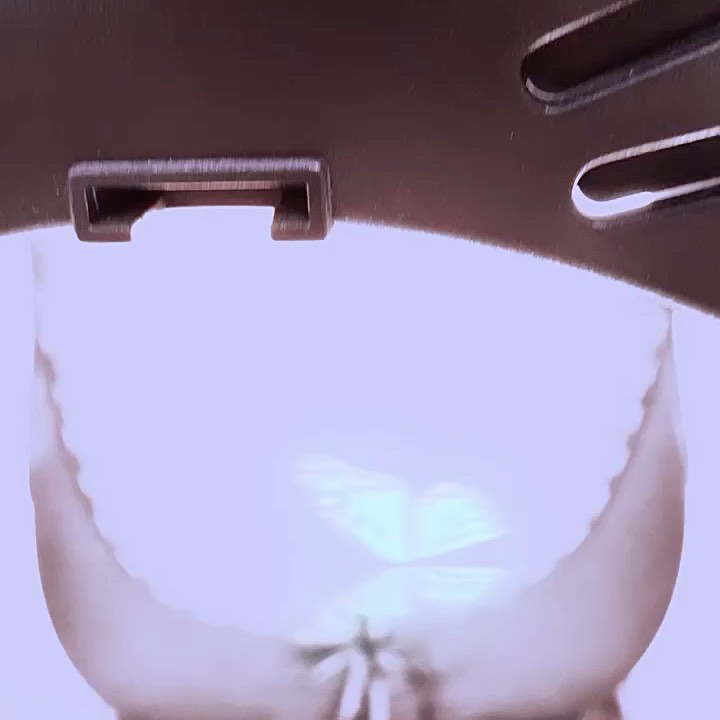 Animal, Nature, 잠자리, 매미