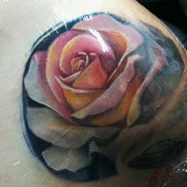 Flower, Rose