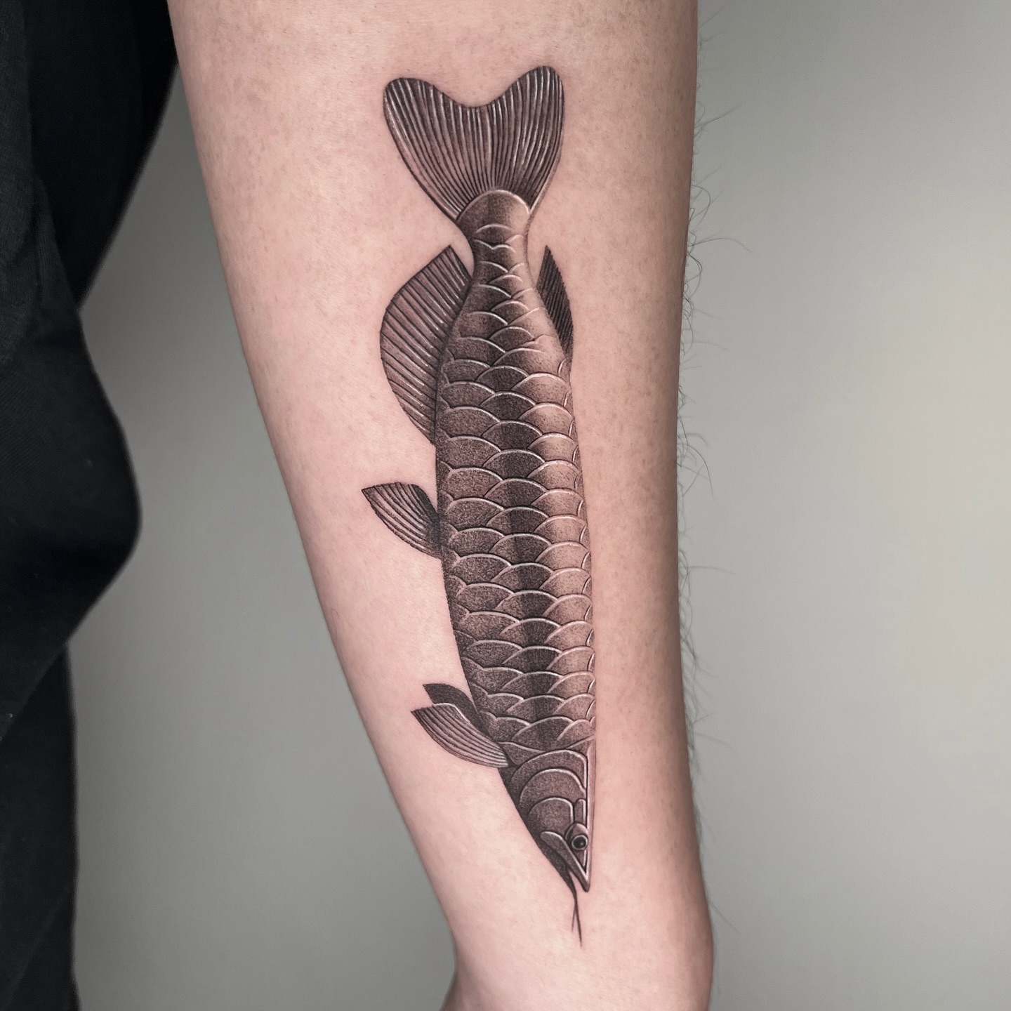 Animal