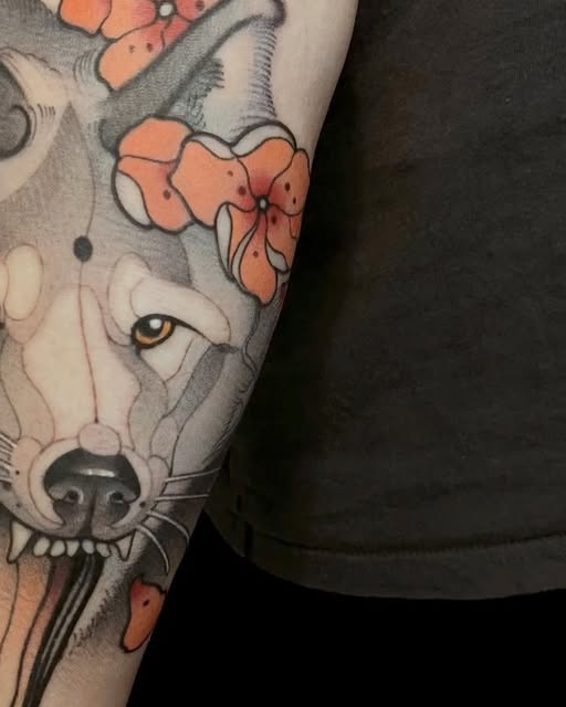 Animal