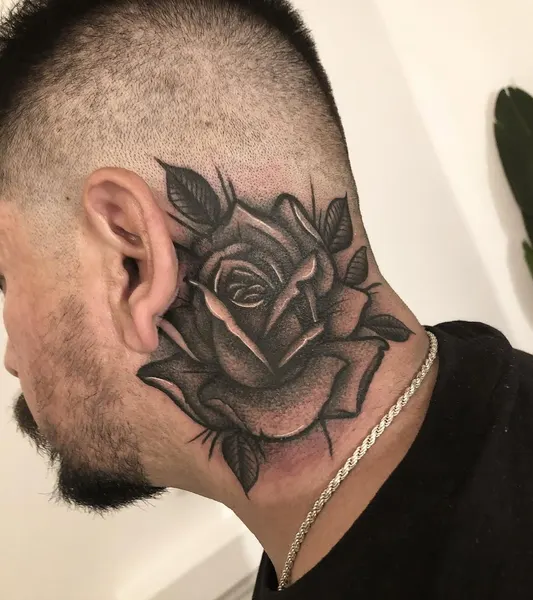Flower, Rose, Nature
