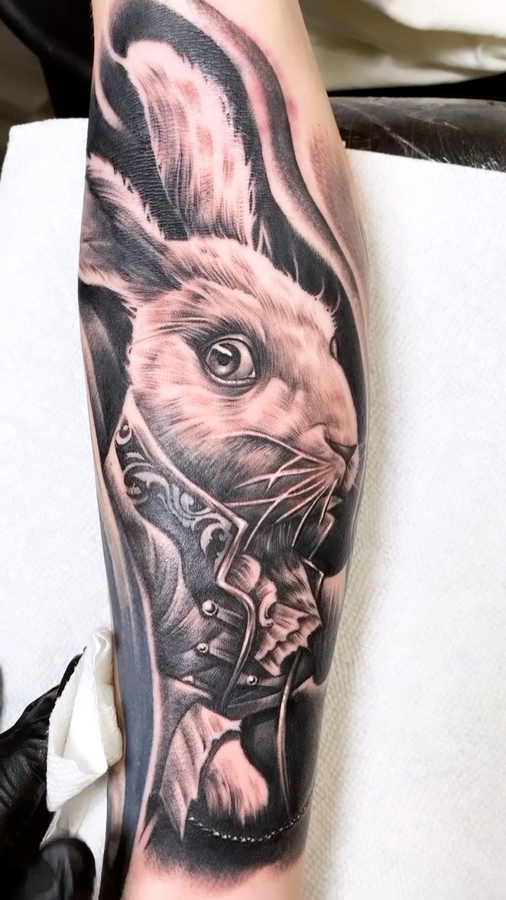 Animal, 토끼
