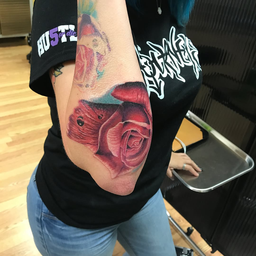 Flower, Rose