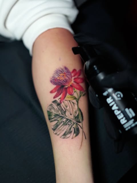 Flower, Rose