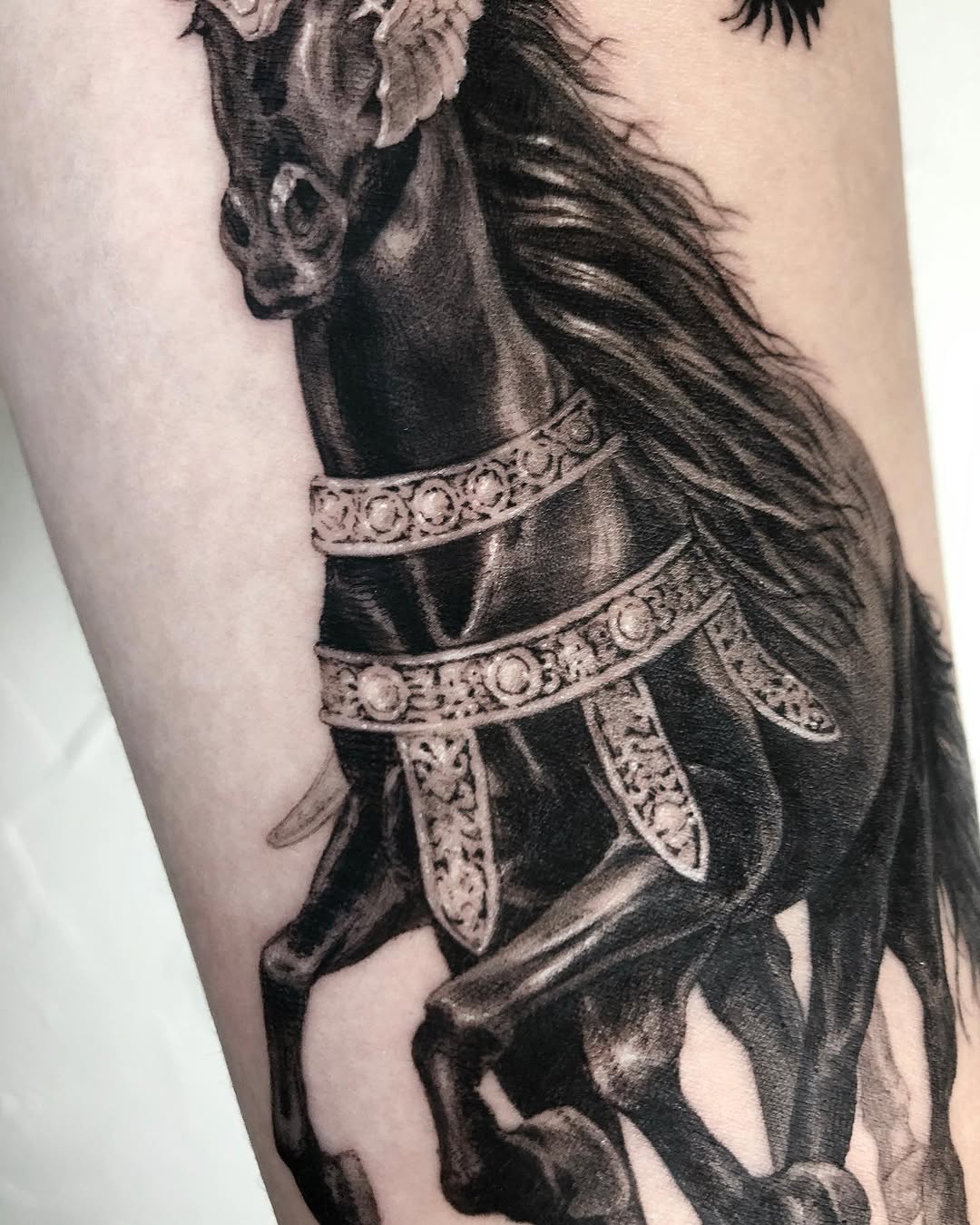 40.tatt