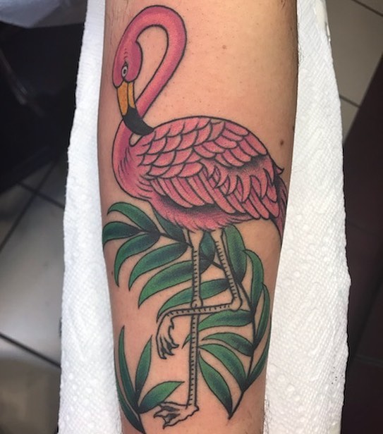 Animal, Flower