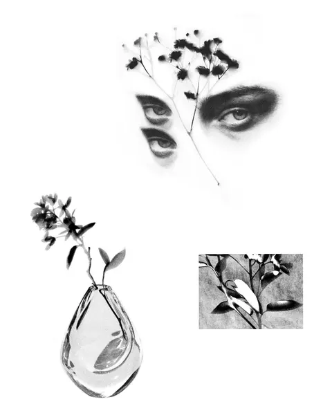 plantsnpokes