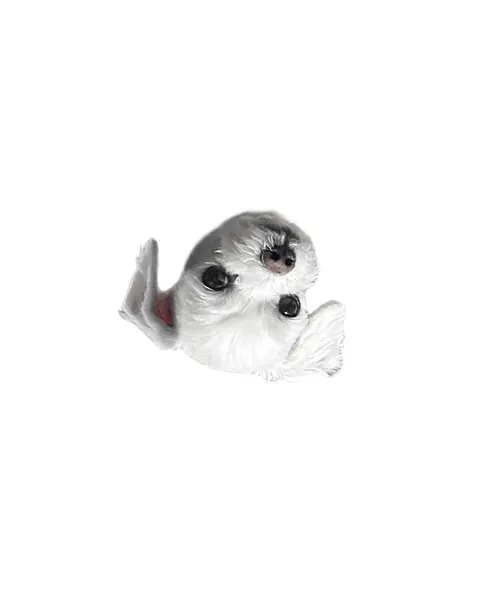Mini, 고슴도치