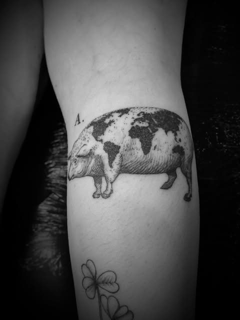 Animal, 돼지