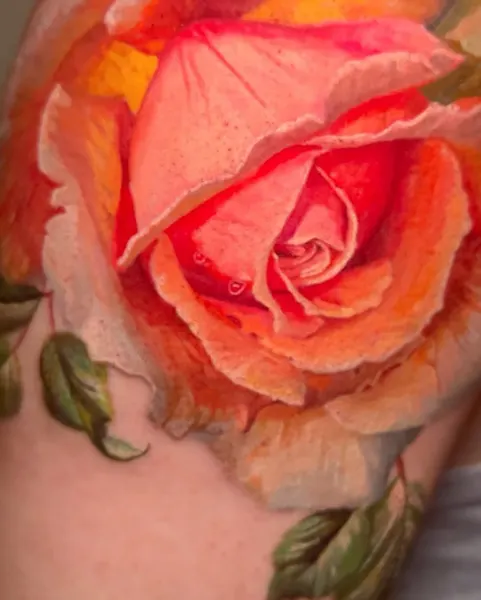 Flower, Rose