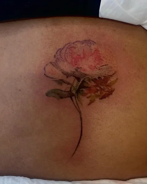 Flower, Rose