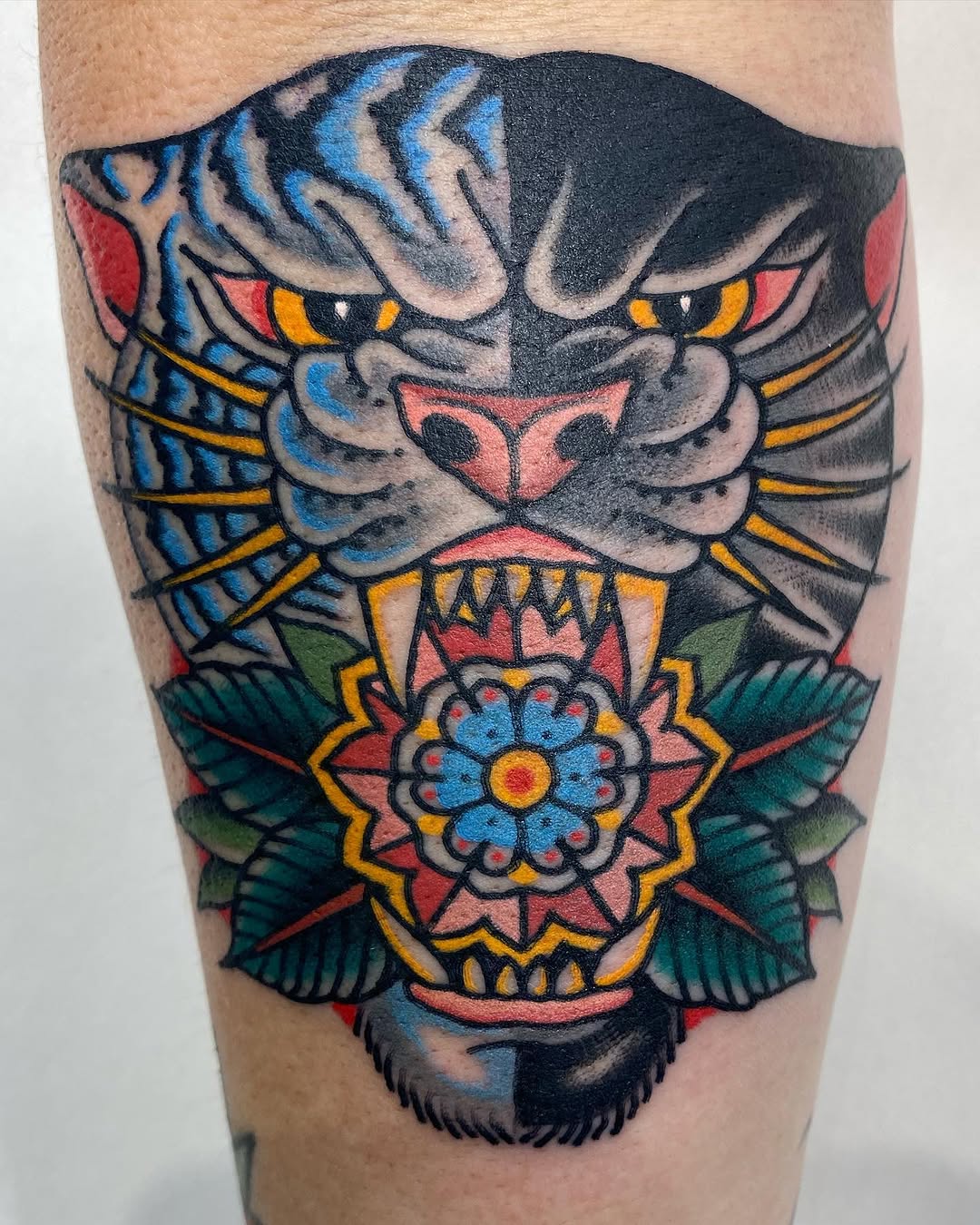 Tiger