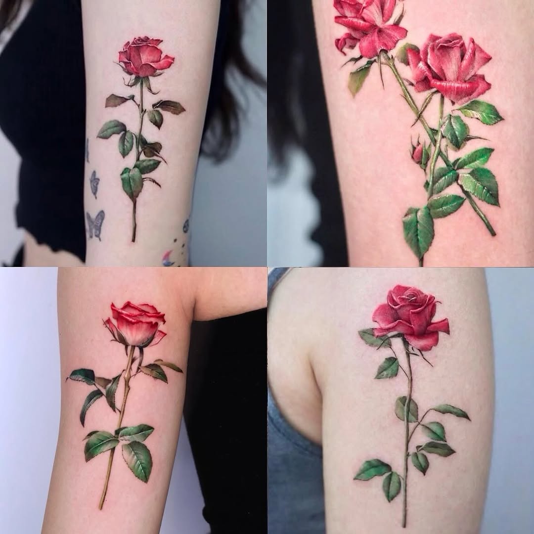 Flower, Rose