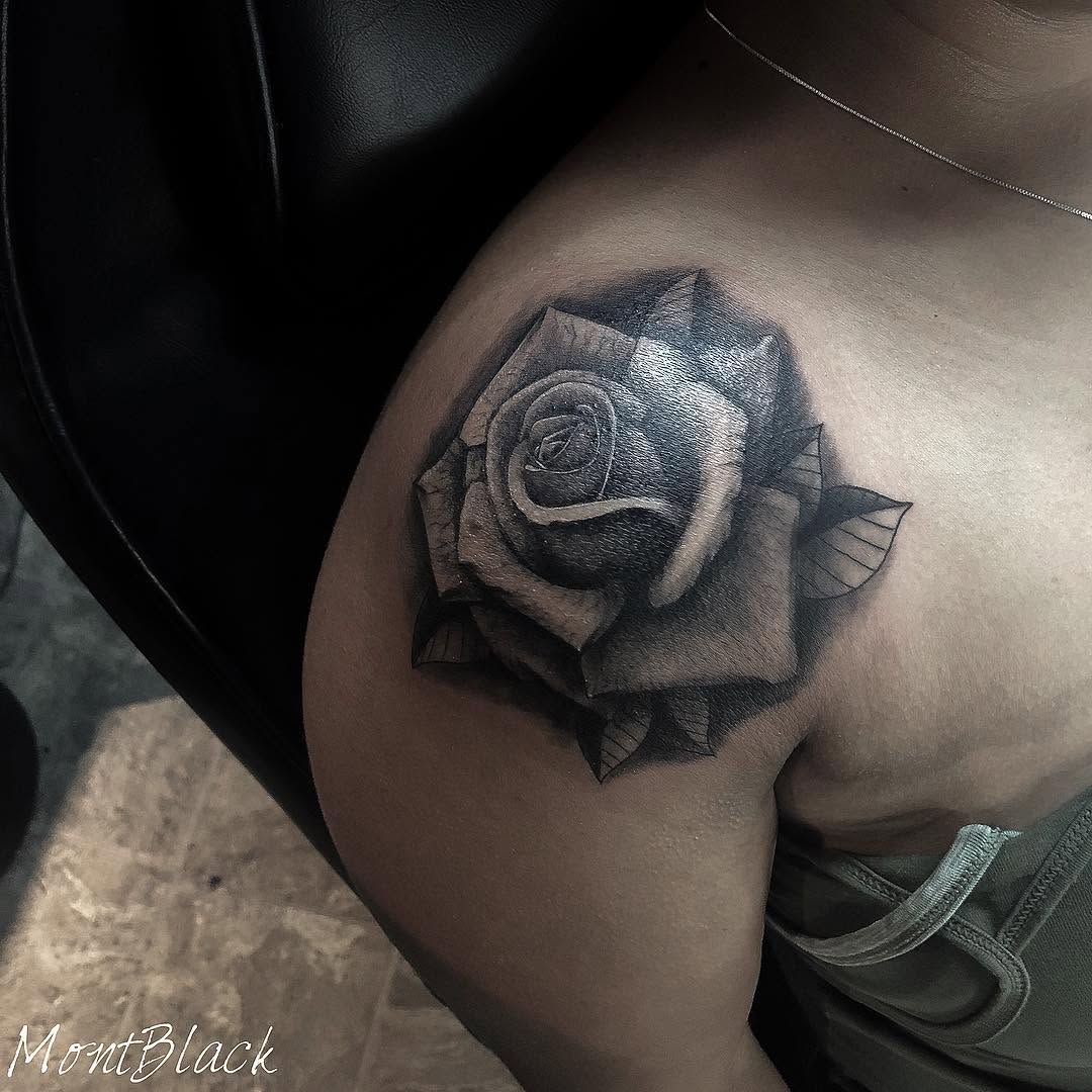 Flower, Rose, Nature