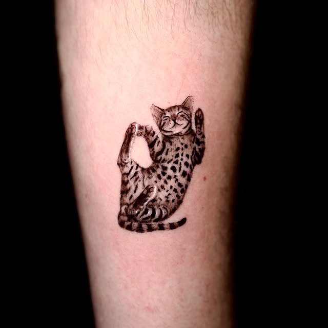 Animal, Tiger, 표범