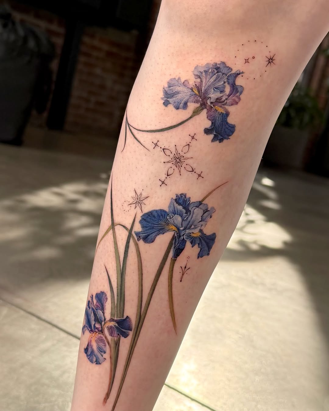 Flower, 아이리스, 난초, 백합, 튤립