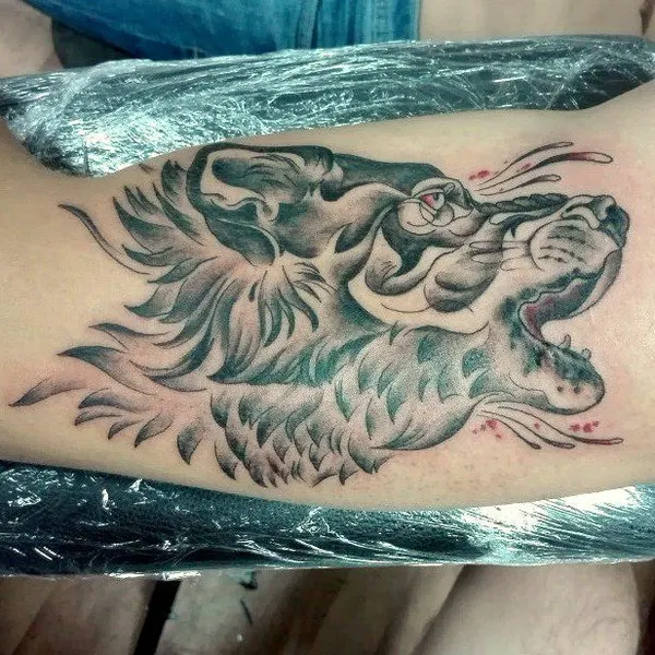 Tiger, Animal