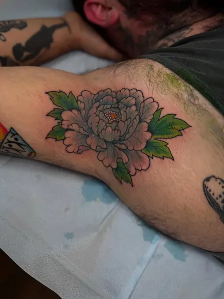 Flower, Rose