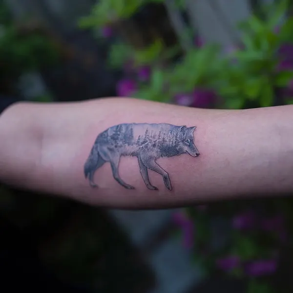 Animal, 멧돼지