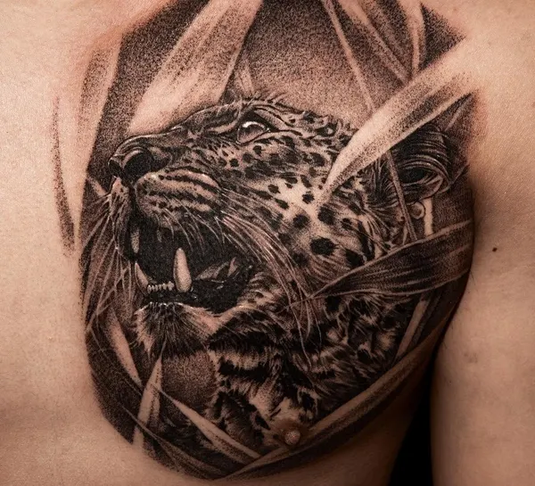 Animal, 표범, 재규어