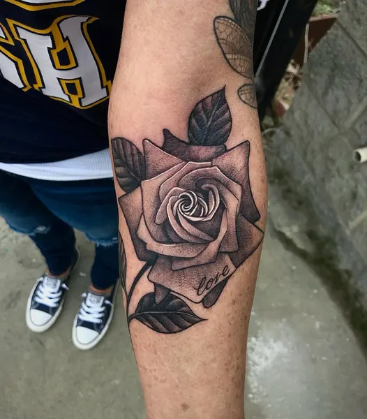 Flower, Rose