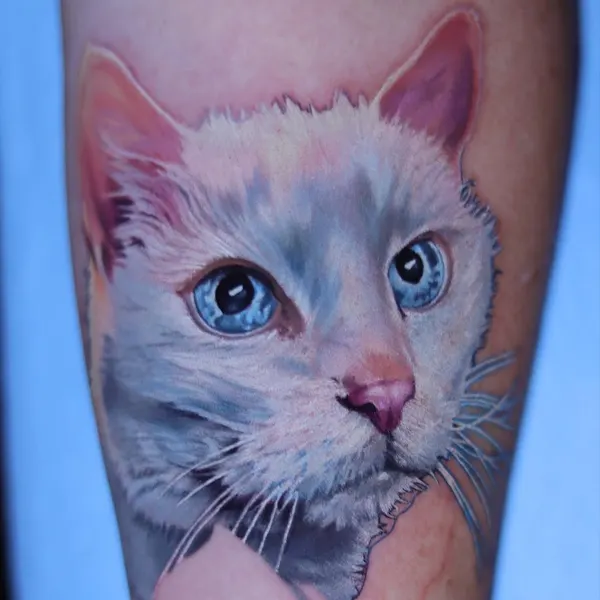Animal