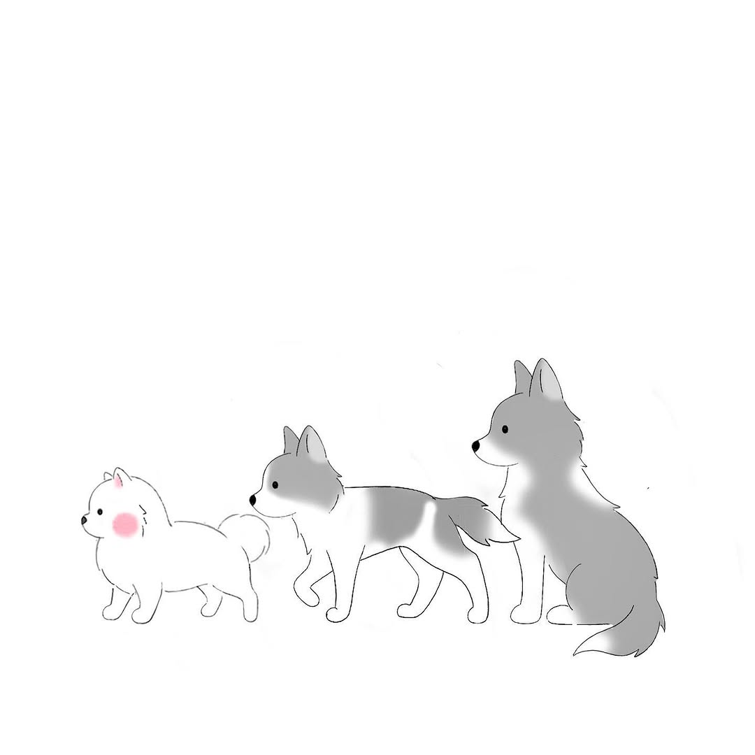 Animal