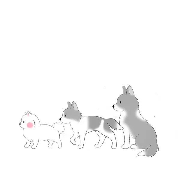 Animal