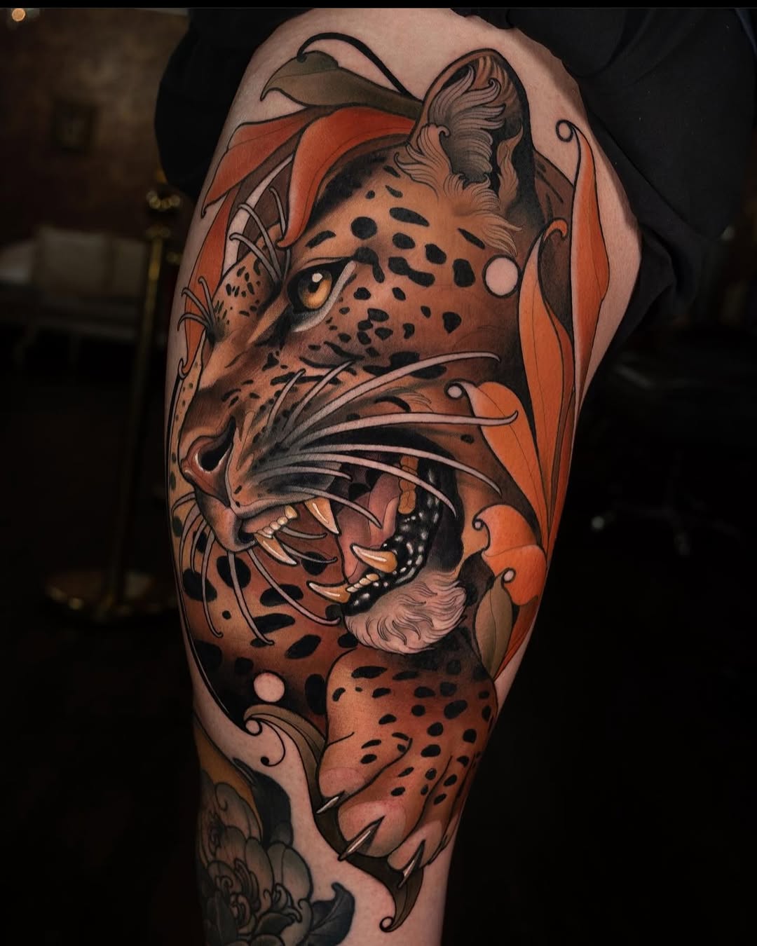 Animal, 여우