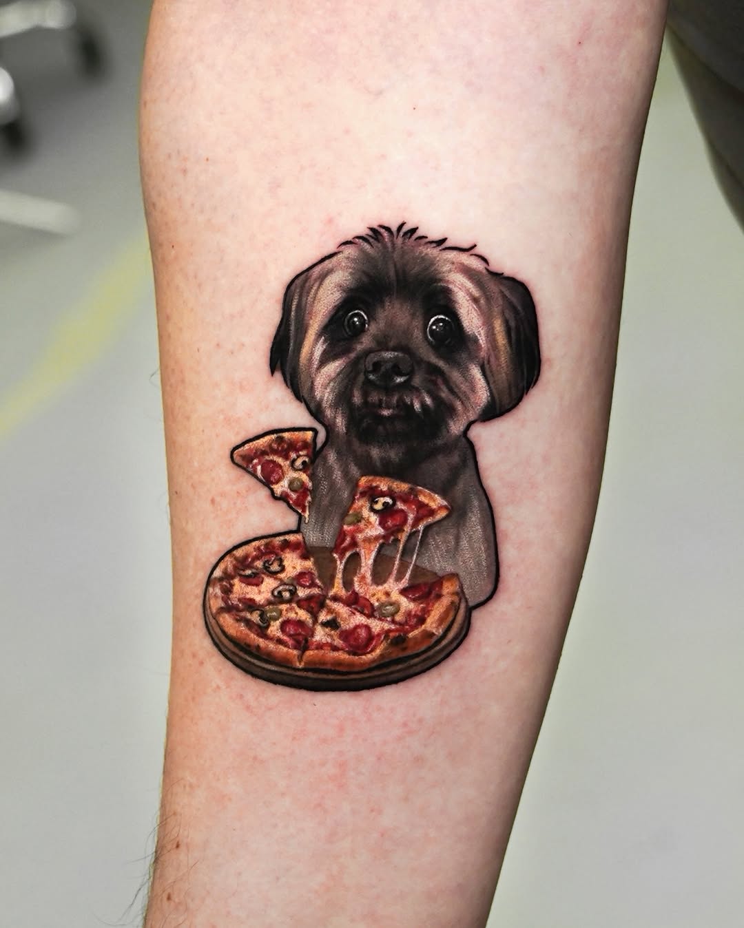 Animal