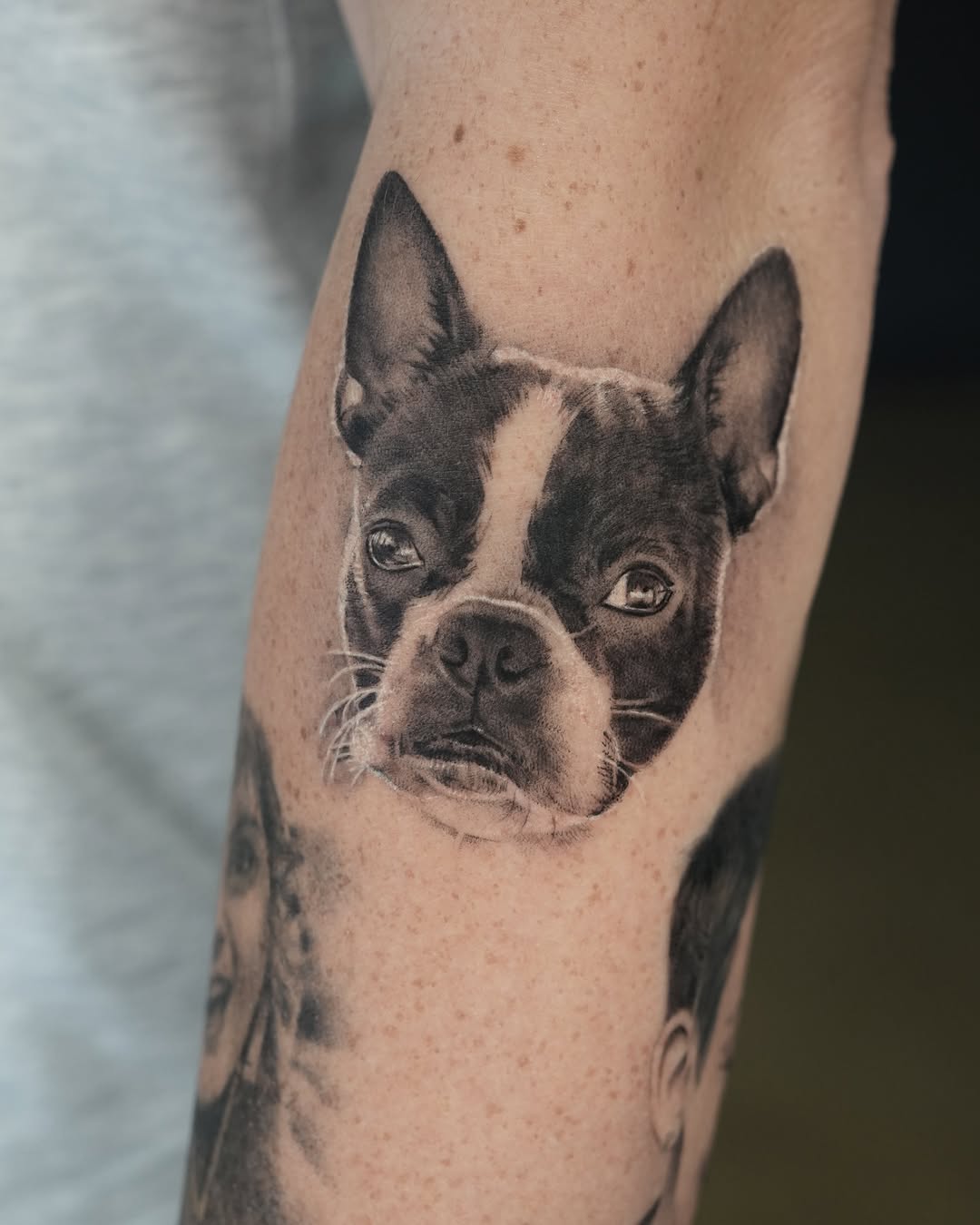 Animal