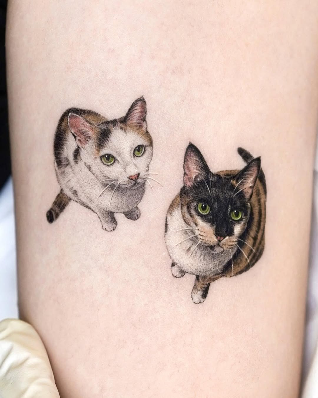 dorok.tattoo