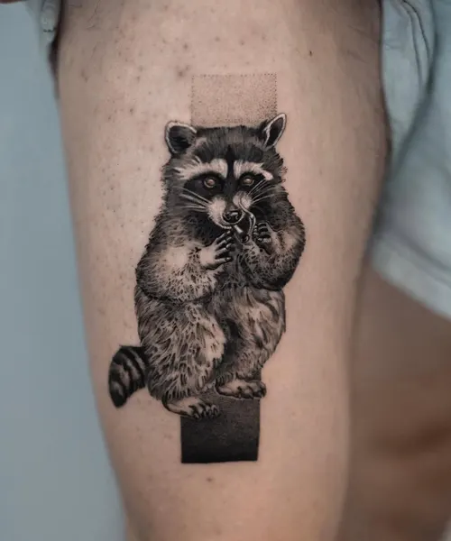 Animal