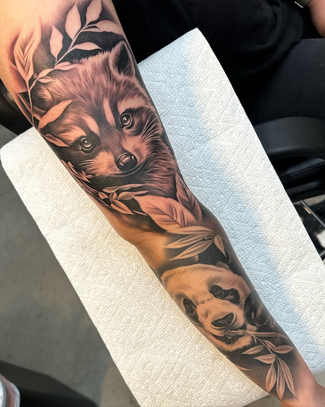 Animal