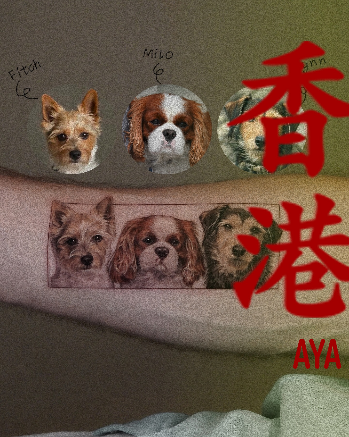 Animal