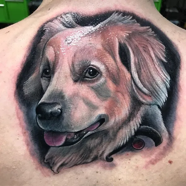 Animal