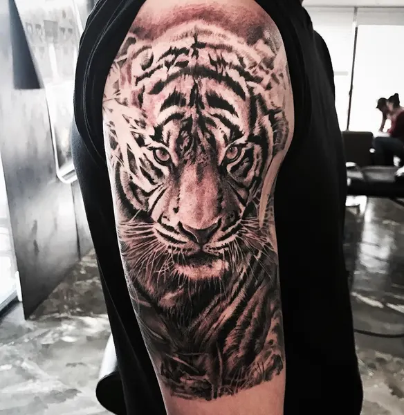 Tiger, 중국 호랑이