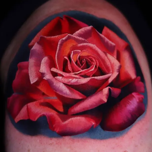 Flower, Rose