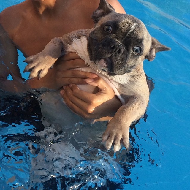 Fernie Andrade