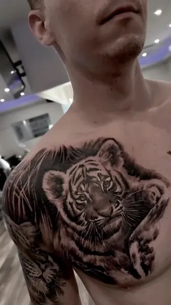 Tiger, 치타, 재규어, 사자자리, 중국 호랑이, 한국 호랑이, 팬서, 일본 호랑이