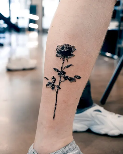 Flower, Rose