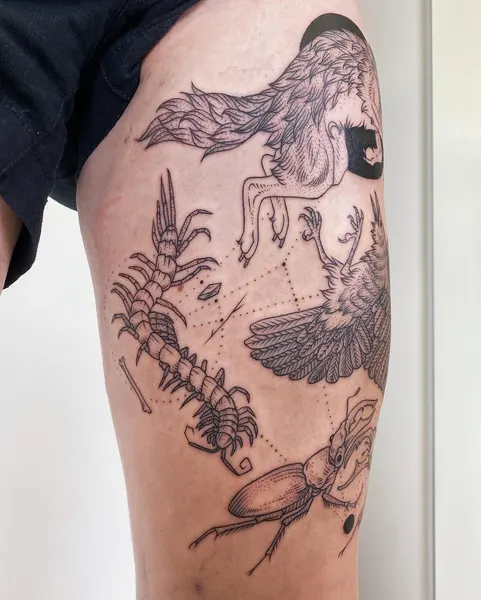 Dragon