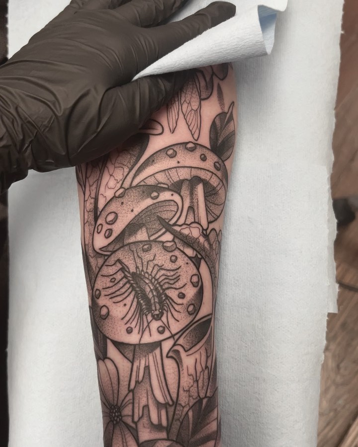 sarastigmata