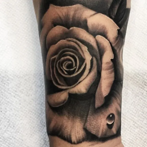 Flower, Rose
