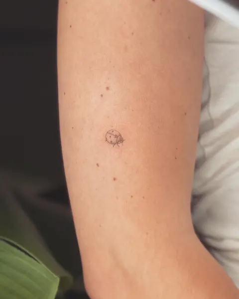 Lettering