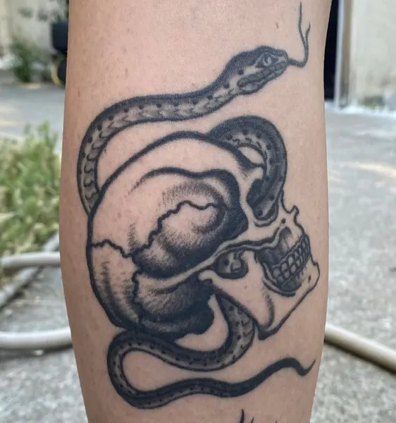 Snake, 전갈