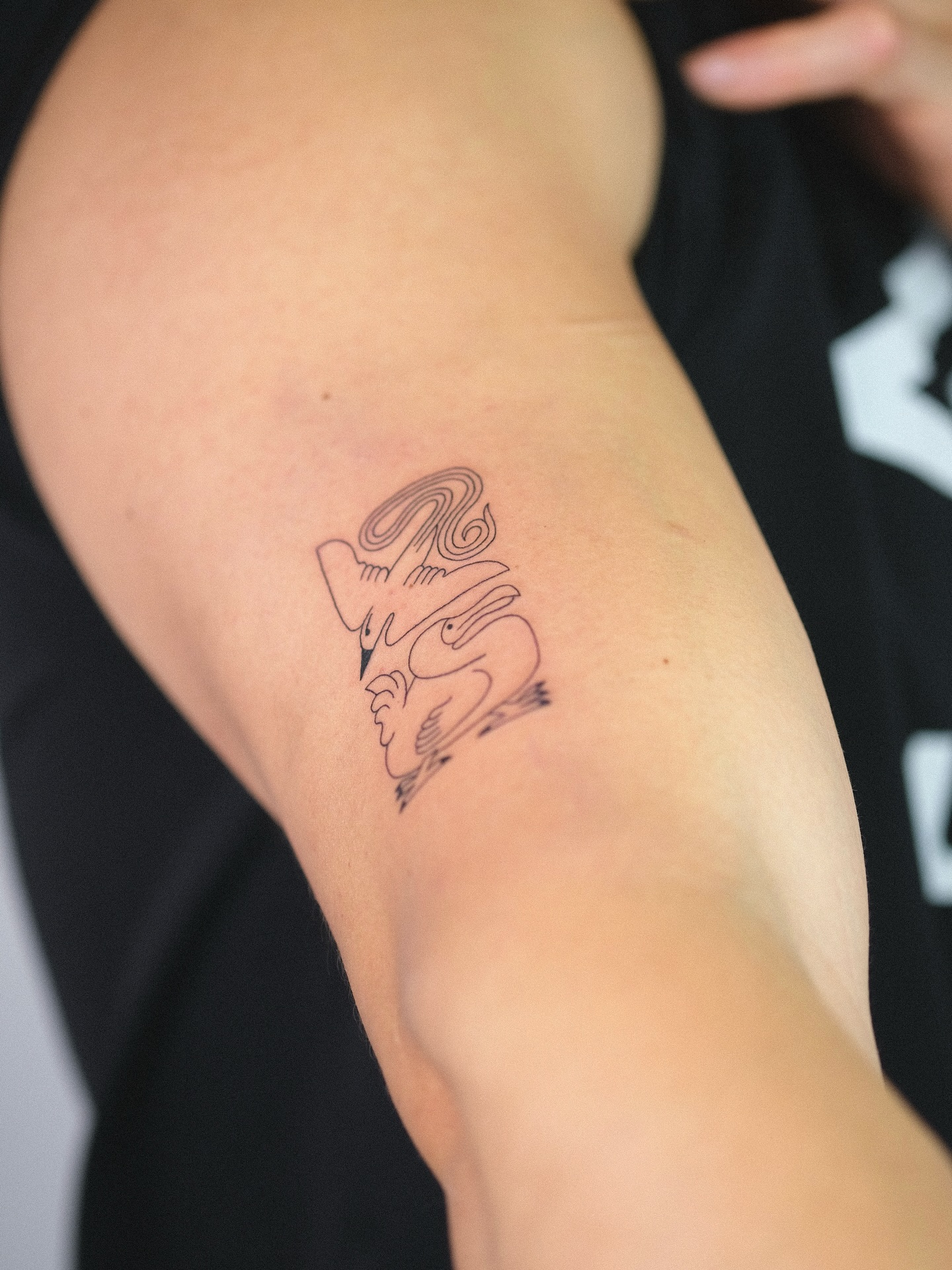 zik_tats