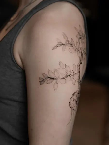 Flower, Nature, 뿌리, 나무, 해부학, 나뭇가지