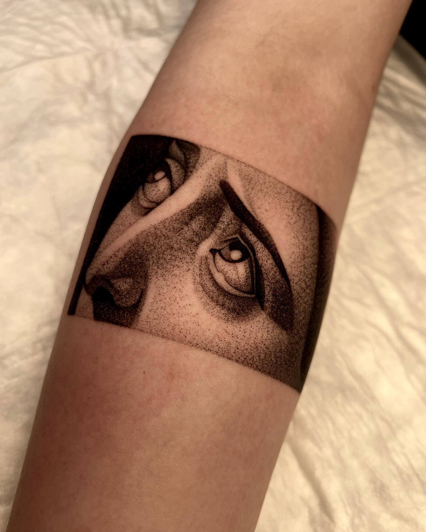 makar.tatt