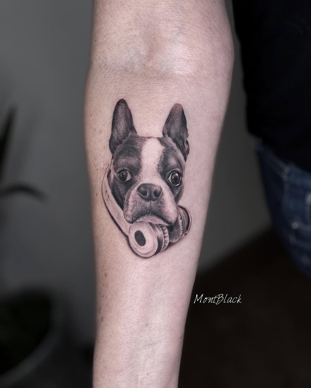Animal
